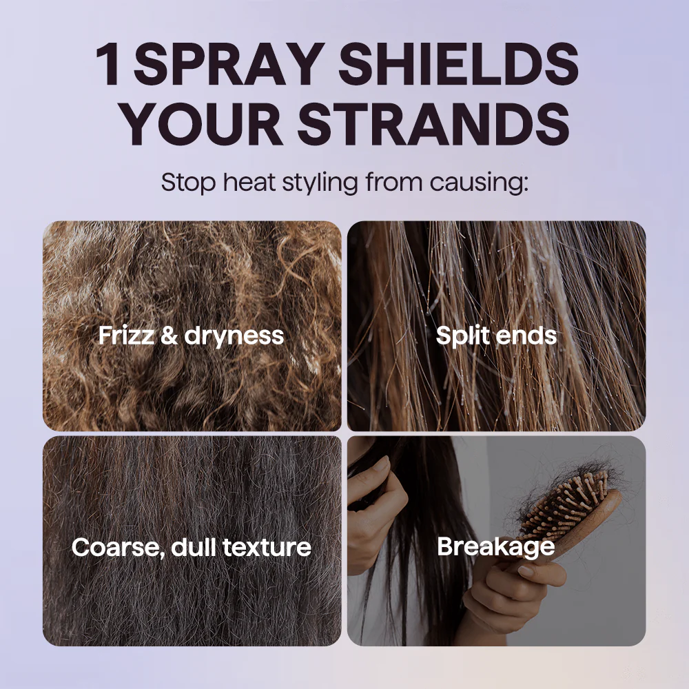 Signature Shine Trio - Image 26